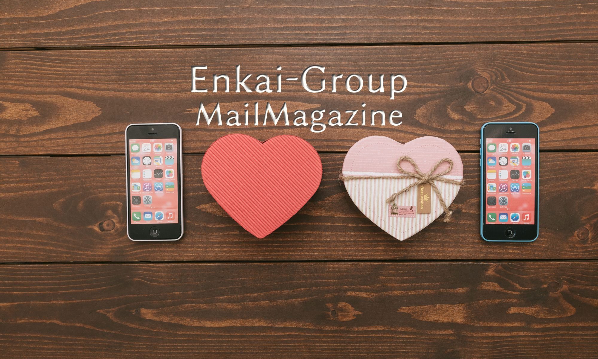 ENKAI-GROUP メールマガジン登録画面